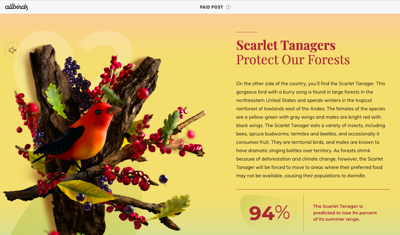 How to Create a Digital Content Experience Strategy (With Examples) Paperflite